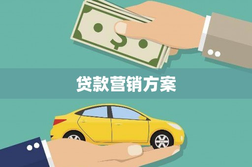 莎车贷款营销方案