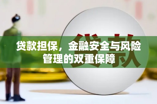 莎车贷款担保，金融安全与风险管理的双重保障