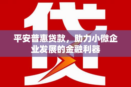 莎车平安普惠贷款，助力小微企业发展的金融利器