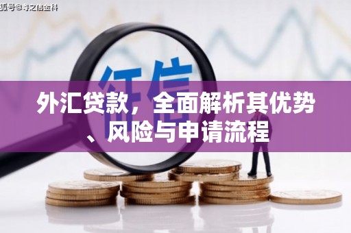 莎车外汇贷款，全面解析其优势、风险与申请流程