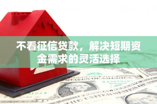 莎车不看征信贷款，解决短期资金需求的灵活选择