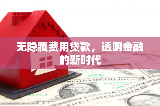 莎车无隐藏费用贷款，透明金融的新时代