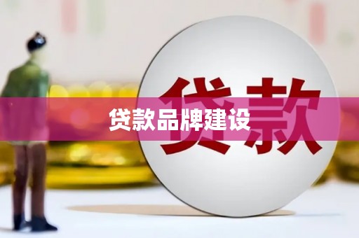 莎车贷款品牌建设