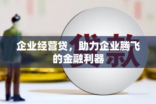 莎车企业经营贷，助力企业腾飞的金融利器