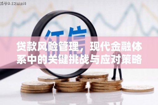 莎车贷款风险管理，现代金融体系中的关键挑战与应对策略