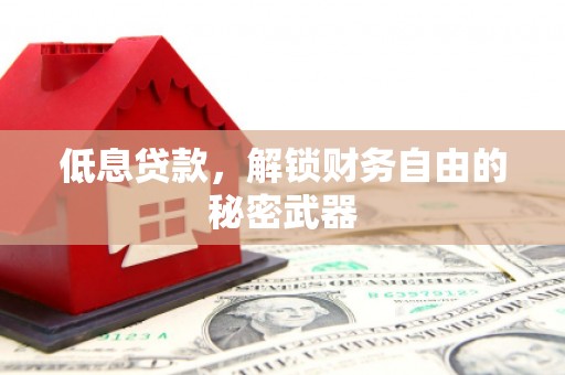 莎车低息贷款，解锁财务自由的秘密武器