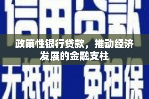 莎车政策性银行贷款，推动经济发展的金融支柱
