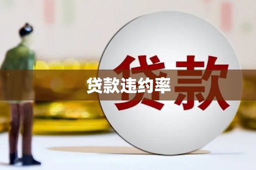 莎车贷款违约率