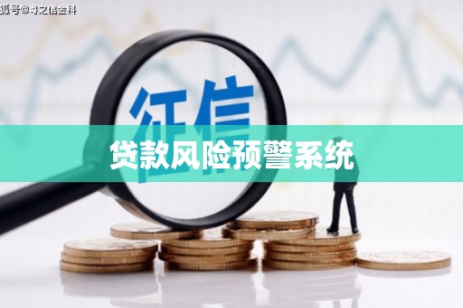 莎车贷款风险预警系统