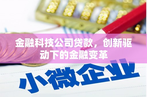 莎车金融科技公司贷款，创新驱动下的金融变革