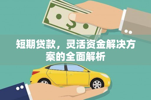莎车短期贷款，灵活资金解决方案的全面解析