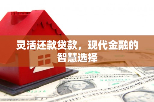莎车灵活还款贷款，现代金融的智慧选择