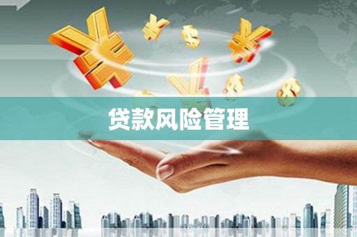 莎车贷款风险管理