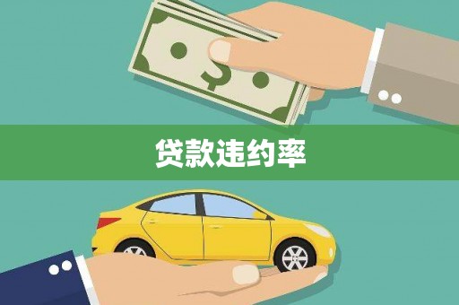 莎车贷款违约率