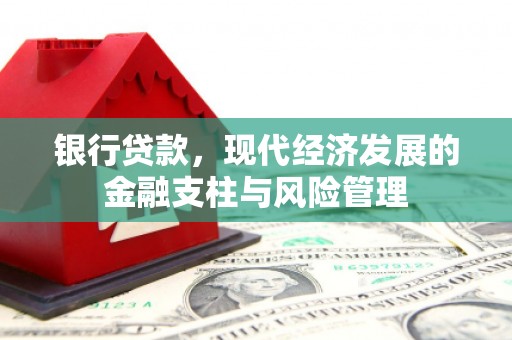 莎车银行贷款，现代经济发展的金融支柱与风险管理