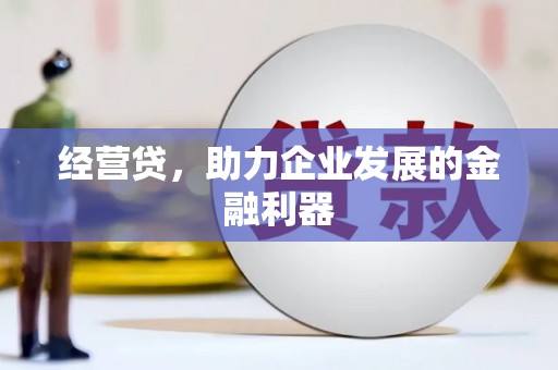 莎车经营贷，助力企业发展的金融利器
