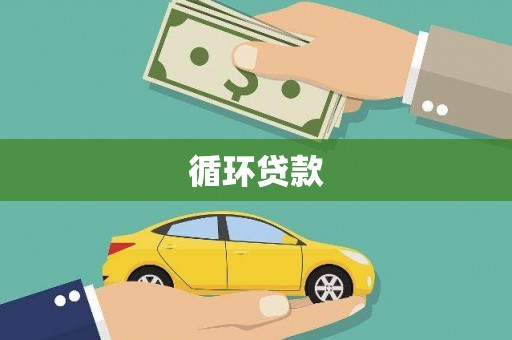 莎车循环贷款