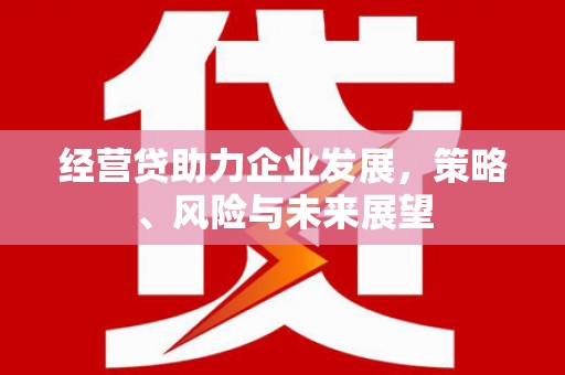 莎车经营贷助力企业发展，策略、风险与未来展望