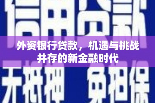 莎车外资银行贷款，机遇与挑战并存的新金融时代