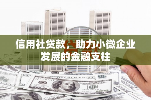 莎车信用社贷款，助力小微企业发展的金融支柱