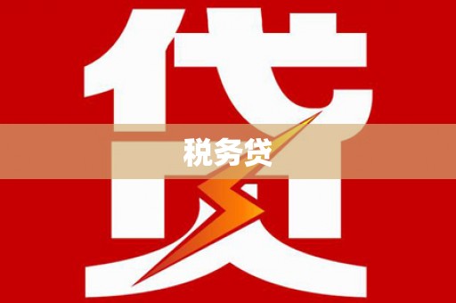 莎车税务贷
