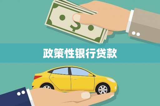 莎车政策性银行贷款
