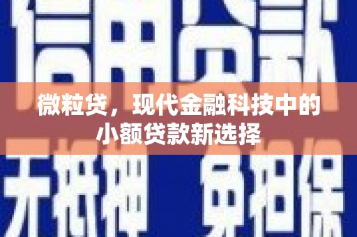莎车微粒贷，现代金融科技中的小额贷款新选择