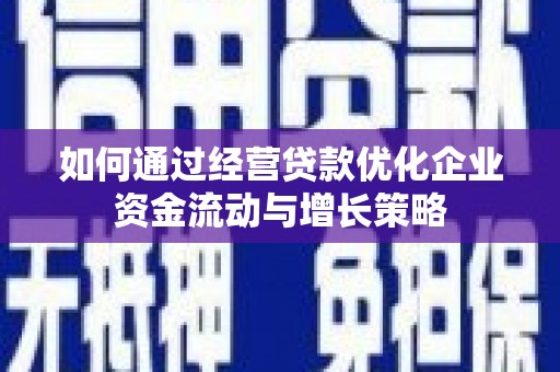 莎车如何通过经营贷款优化企业资金流动与增长策略