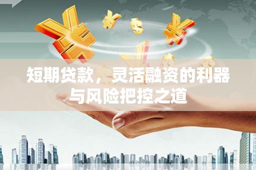 莎车短期贷款，灵活融资的利器与风险把控之道