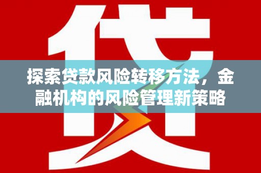 莎车探索贷款风险转移方法，金融机构的风险管理新策略