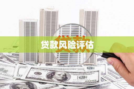 莎车贷款风险评估