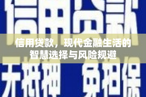 莎车信用贷款，现代金融生活的智慧选择与风险规避