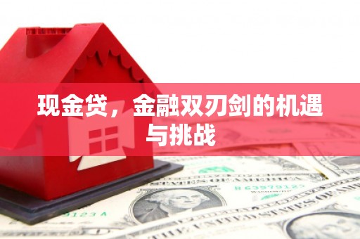 莎车现金贷，金融双刃剑的机遇与挑战