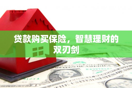 莎车贷款购买保险，智慧理财的双刃剑