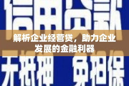 莎车解析企业经营贷，助力企业发展的金融利器