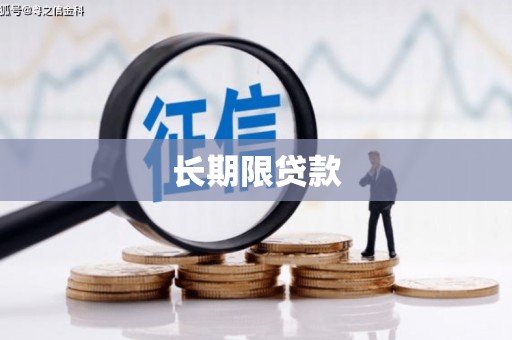 莎车长期限贷款