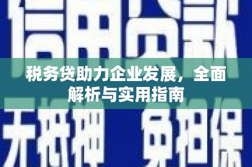 莎车税务贷助力企业发展，全面解析与实用指南