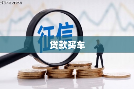 莎车贷款买车