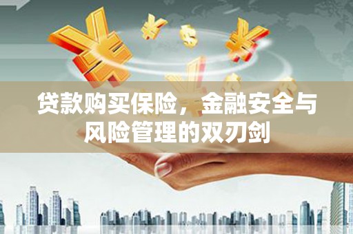 莎车贷款购买保险，金融安全与风险管理的双刃剑