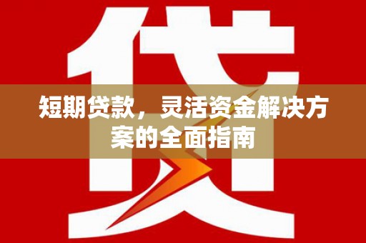 莎车短期贷款，灵活资金解决方案的全面指南