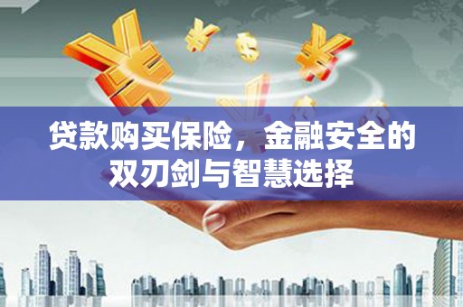莎车贷款购买保险，金融安全的双刃剑与智慧选择