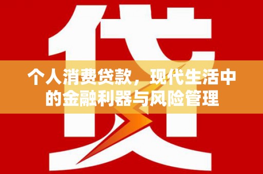 莎车个人消费贷款，现代生活中的金融利器与风险管理