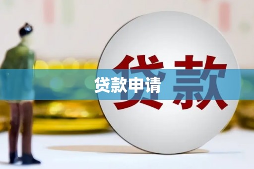莎车贷款申请