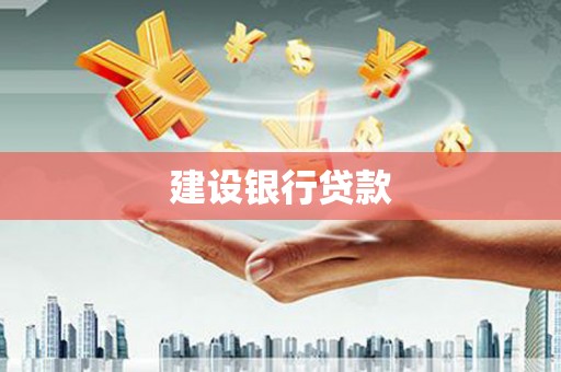 莎车建设银行贷款