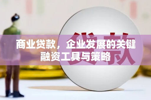 莎车商业贷款，企业发展的关键融资工具与策略