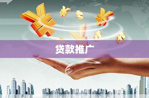 莎车贷款推广