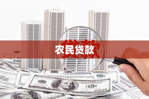 莎车农民贷款