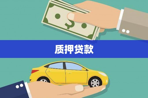 莎车质押贷款