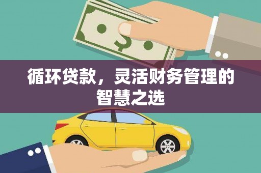 莎车循环贷款，灵活财务管理的智慧之选