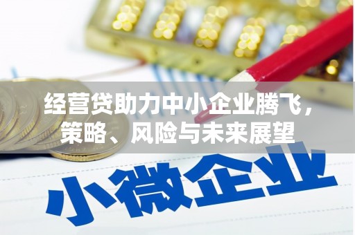 莎车经营贷助力中小企业腾飞，策略、风险与未来展望